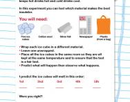 Which is the best insulator? activity