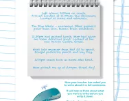 Write full sentences worksheet