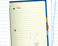 Writing a character diary worksheet