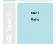 Year 3 maths Progress Checks, TheSchoolRun