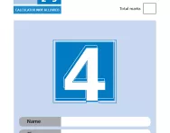 Optional SATs papers: Y4 maths 2006