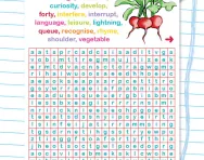 Y5 and Y6 spelling wordsearch