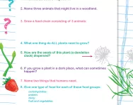 Year 2 super science quiz