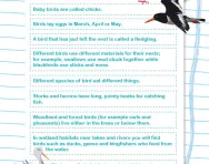 Year 4 proofreading: organising information into paragraphs