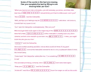 Year 6 Cloze test: the Caterpillar