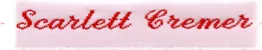 Nametapes Woven Sew-on Name Labels, Cash’s