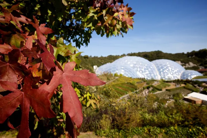 © Steve Tanner / The Eden Project © Steve Tanner / The Eden Project