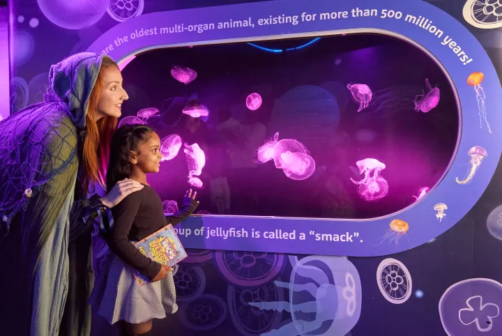© SEA LIFE London Aquarium © SEA LIFE London Aquarium