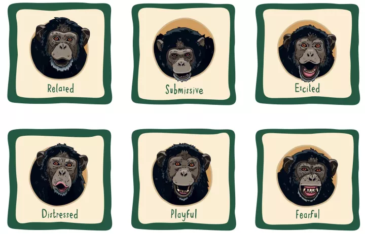 Chester Zoo Learning Resources
