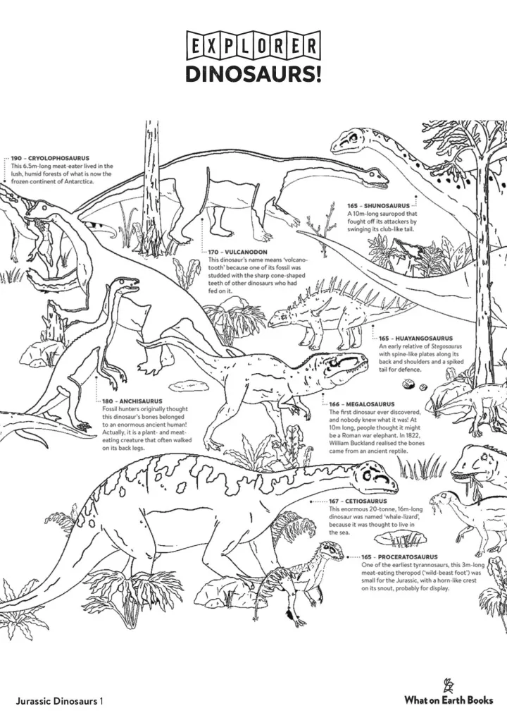 Non-fiction resources from WHAT ON EARTH BOOKS