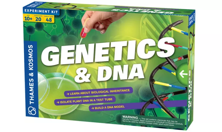Genetics & DNA