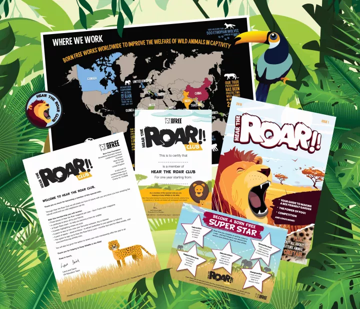 Hear the Roar Club from Born Free
