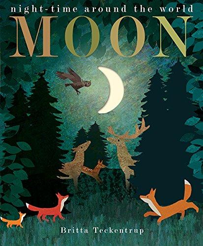 Moon by Patricia Hegarty