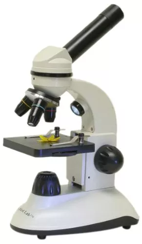 My First Lab Duo-Scope