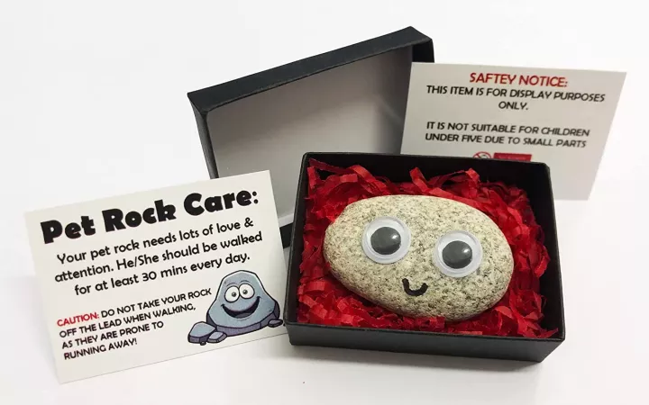 Pet rock