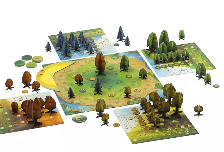 Blue Orange Photosynthesis Family Game