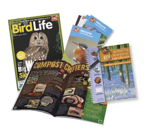 RSPB's Wildlife Explorers Club