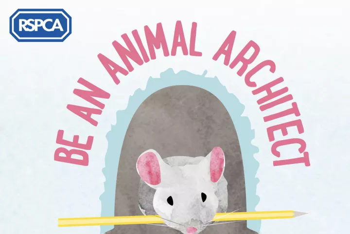 RSPCA's free home learning resources