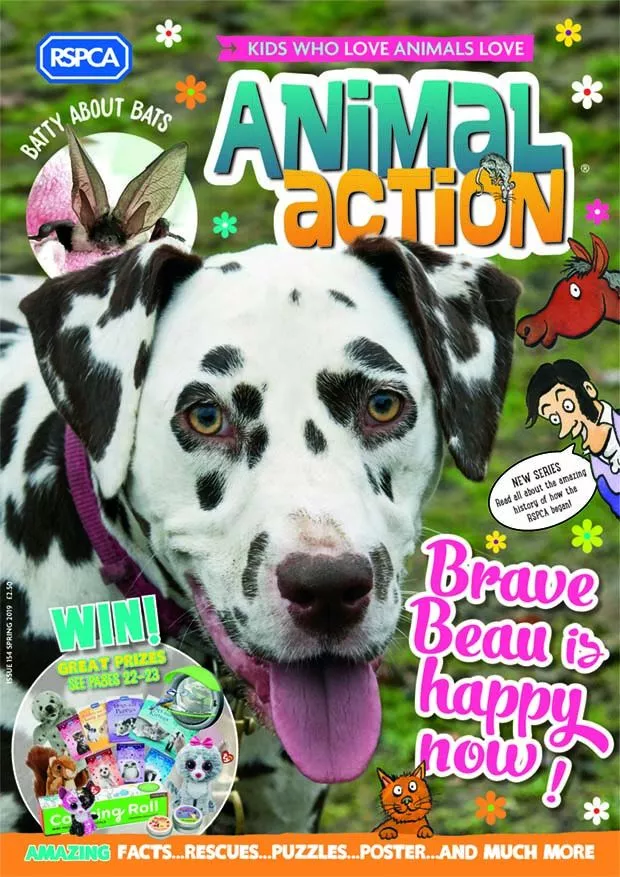 RSPCA Animal Action