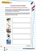 Animals and their habitats worksheet Animals and their habitats worksheet