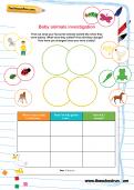 Baby animals investigation Baby animals investigation