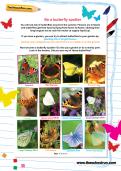 Be a butterfly spotter worksheet Be a butterfly spotter worksheet