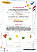 Be a leaf detective Be a leaf detective