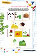 Grouping objects from nature worksheet Grouping objects from nature worksheet