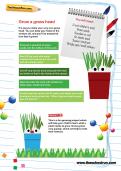 Grow a grass head activity Grow a grass head activity