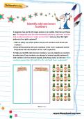 Identify odd and even numbers worksheet Identify odd and even numbers worksheet