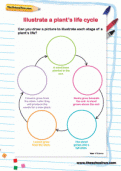 Illustrate a plant's life cycle Illustrate a plant's life cycle