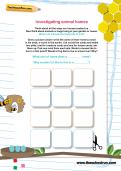Investigating animal homes worksheet Investigating animal homes worksheet