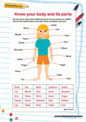 Key Stage 1 (KS1) science worksheets, activities and games ...