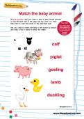Match the baby animal worksheet Match the baby animal worksheet