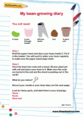 My bean growing diary My bean growing diary