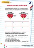 Pollination and fertilisation worksheet Pollination and fertilisation worksheet