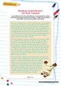 Reading comprehension: the dolls’ hospital Reading comprehension: the dolls’ hospital