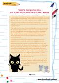 Reading comprehension: THE TOWN MOUSE AND THE COUNTRY MOUSE Reading comprehension: THE TOWN MOUSE AND THE COUNTRY MOUSE