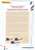 Reading comprehension: underwater parade Reading comprehension: underwater parade