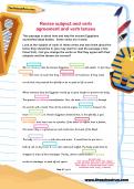 Revise subject and verb agreement and verb tenses worksheet Revise subject and verb agreement and verb tenses worksheet