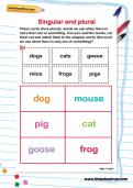 Singular and plural worksheet Singular and plural worksheet