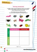 Sorting minibeasts worksheet Sorting minibeasts worksheet