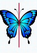 Finding lines of symmetry in 2D shapes tutorial Finding lines of symmetry in 2D shapes tutorial