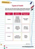 Types of teeth activity Types of teeth activity