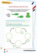 Understanding a frog’s life cycle Understanding a frog’s life cycle