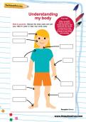 Understanding my body worksheet Understanding my body worksheet