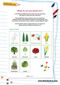 What do we use plants for? What do we use plants for?