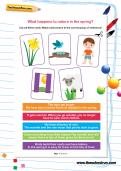 What happens to nature in the spring worksheet What happens to nature in the spring worksheet