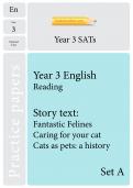 TheSchoolRun optional SATs papers: Y3 English set A TheSchoolRun optional SATs papers: Y3 English set A