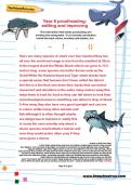 Year 6 proofreading: editing and improving Year 6 proofreading: editing and improving